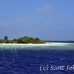 island_ari_h_0048_mal1105.jpg